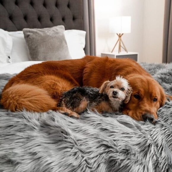 Paw.com PupProtector Original 60"x50" Charcoal Grey waterproof throw blanket NEW - Picture 1 of 16